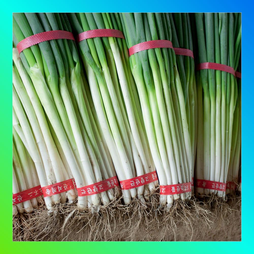 파릇파릇 초신선 국내산 흙대파 1kg