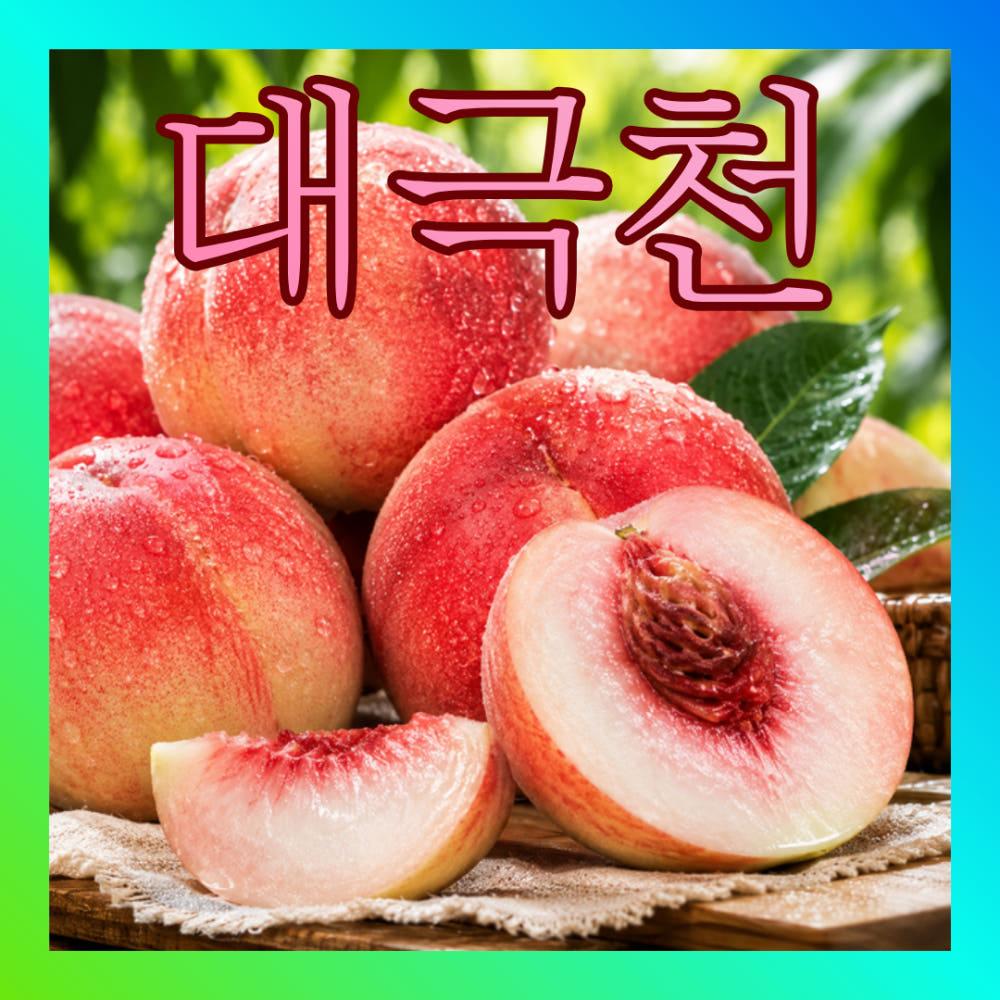 [대극천 복숭아] 아삭쫀득 과즙폭발 복숭아 2kg