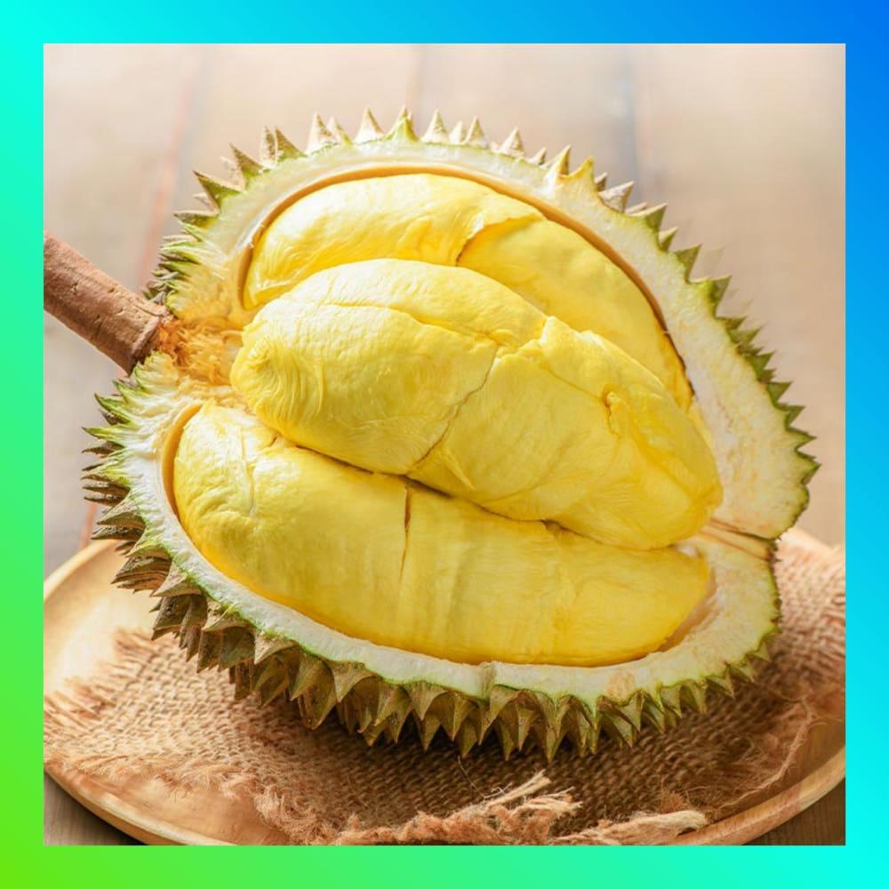 [무상킹] 프리미엄 냉동 깐 두리안 400g