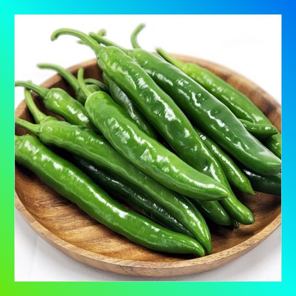[당일경매] 아삭고추 국내산 청정 오이고추 500g