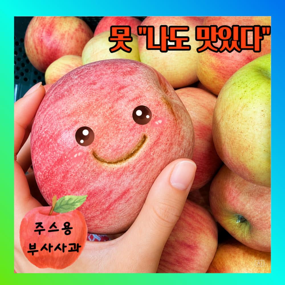 [주스용] 못난이 사과 착즙용 10kg