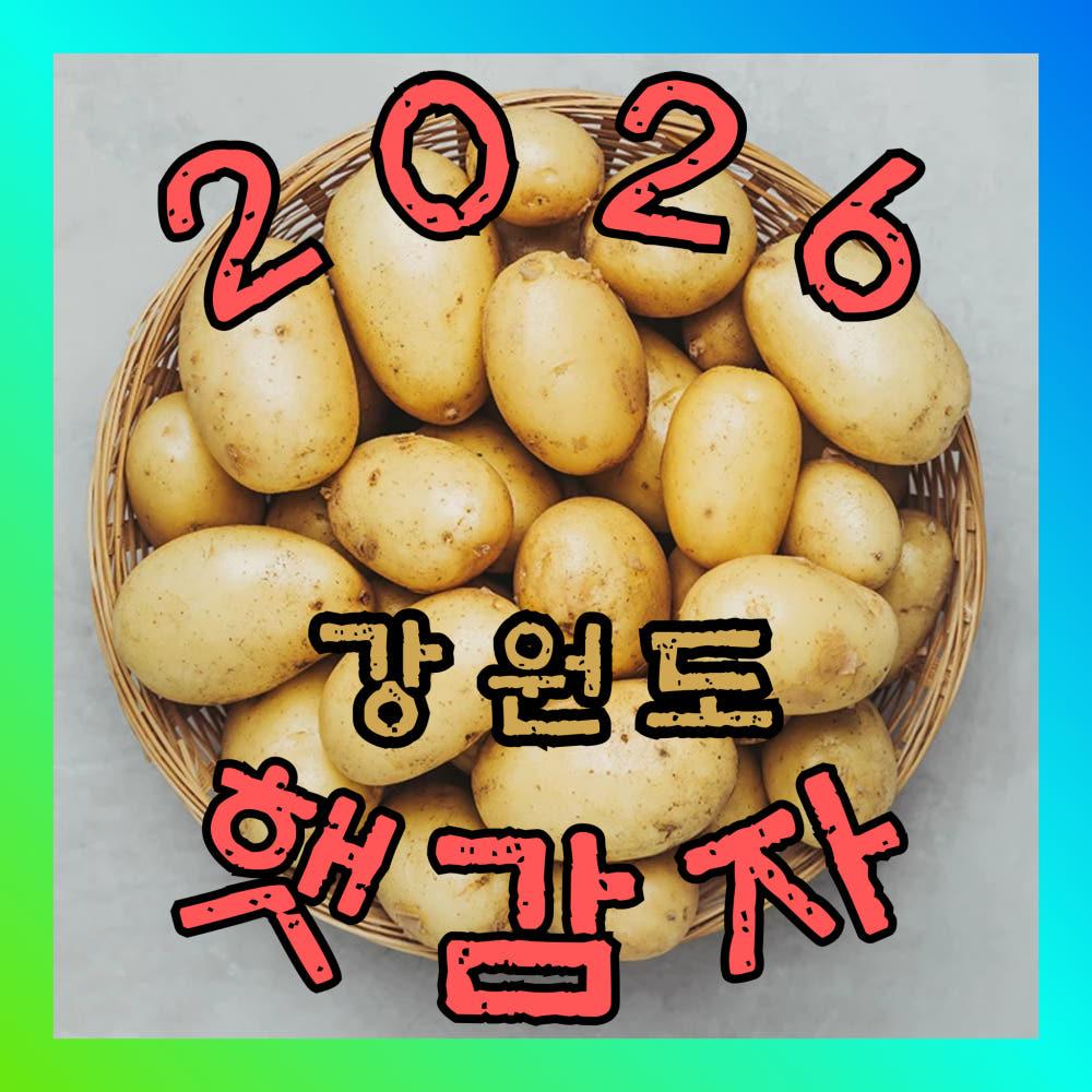 신선혜자 국내산 감자 햇 수미감자 산지직송 소
