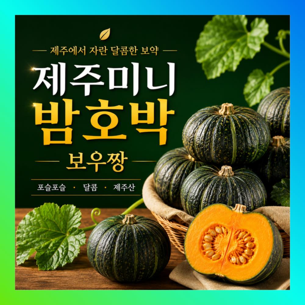 [2026 보우짱] 포슬포슬 제주 햇 미니밤호박 가정용 2kg